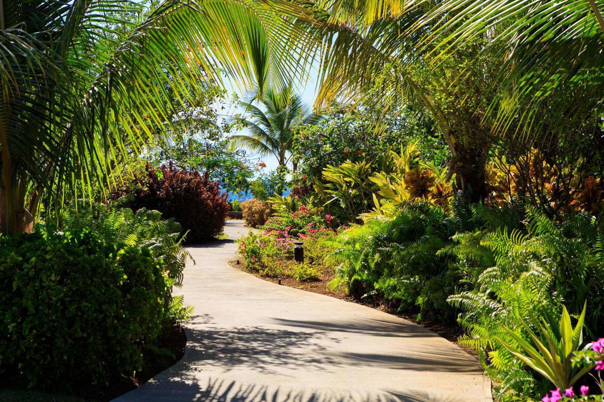 Intercontinental Dominica Cabrits Resort & Spa By Ihg Portsmouth Buitenkant foto
